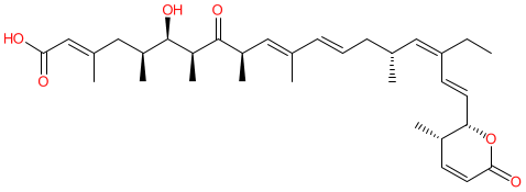 Click here for structure editor