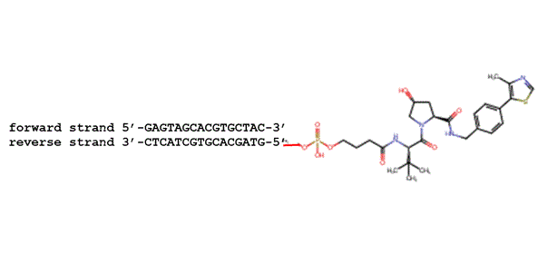 Click here for structure editor