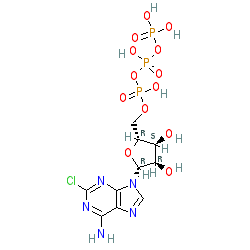 Click here for ligand page