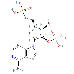 Click here for ligand page