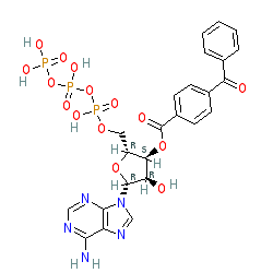 Click here for ligand page