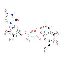 Click here for ligand page