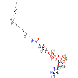 Click here for ligand page