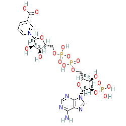 Click here for ligand page