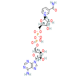 Click here for ligand page