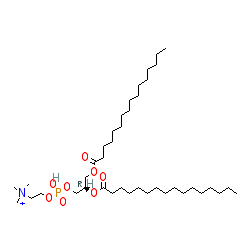 Click here for ligand page