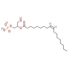 Click here for ligand page