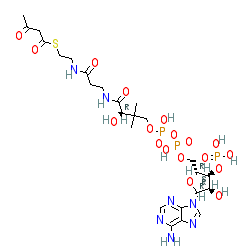 Click here for ligand page