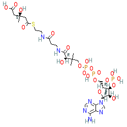 Click here for ligand page