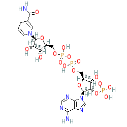 Click here for ligand page