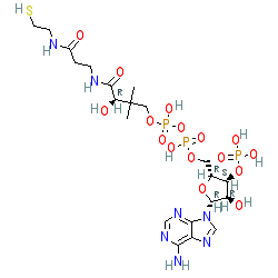 Click here for ligand page