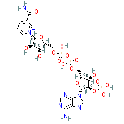 Click here for ligand page