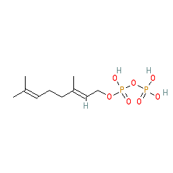 Click here for ligand page