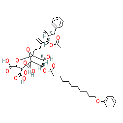 Click here for ligand page