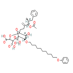 Click here for ligand page