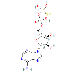 Click here for ligand page