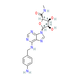 Click here for ligand page