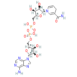 Click here for ligand page