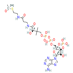 Click here for ligand page