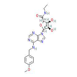 Click here for ligand page