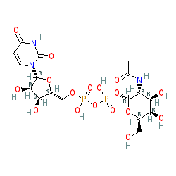 Click here for ligand page