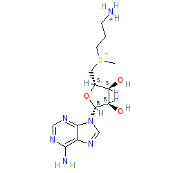 Click here for ligand page