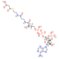 Click here for ligand page