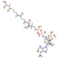 Click here for ligand page