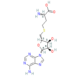 Click here for ligand page