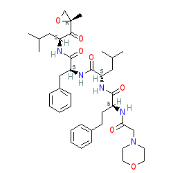 Click here for ligand page