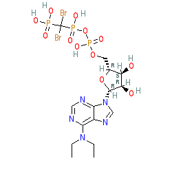 Click here for ligand page