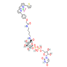 Click here for ligand page