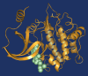 Small kinases image