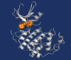 Small enzymes image